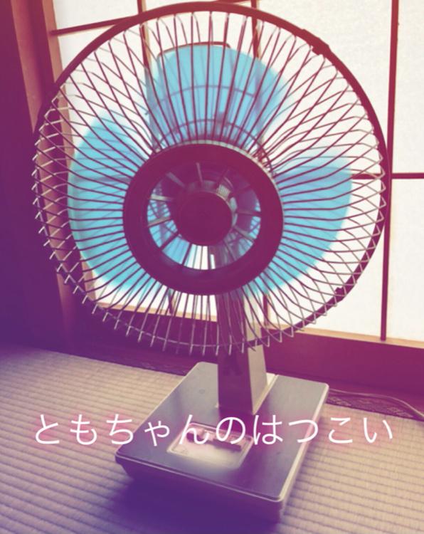 ともちゃんのはつこい