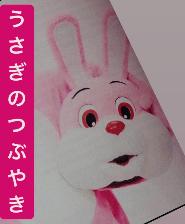 うさぎのつぶやきᙏ̤̫͚ෆ̈