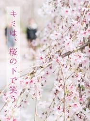【短】キミは、桜の下で笑う。