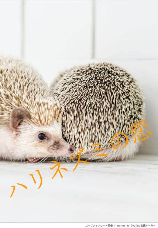 ハリネズミの恋