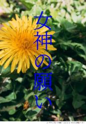 女神の願い