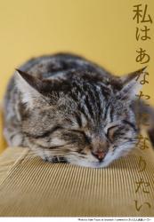 私はあなたになりたい【短編】