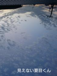 ふうこさんと見えない夏目くん