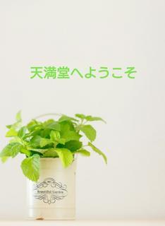 天満堂へようこそ