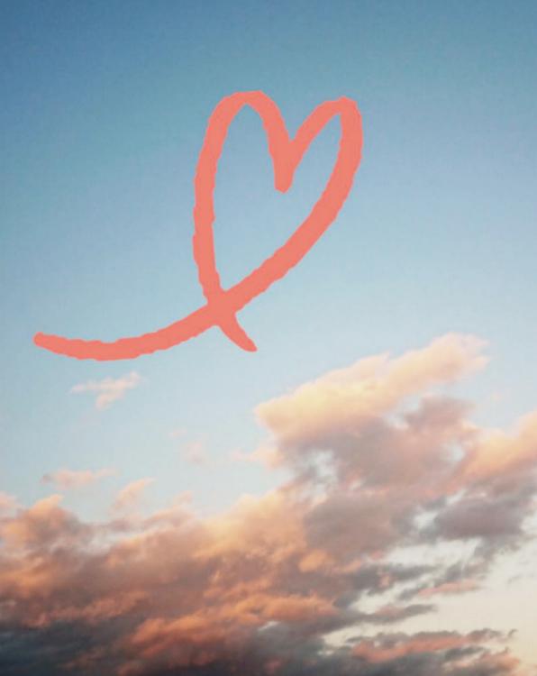 わたし竜王の番(つがい)です　 ～気が付けば竜の国～