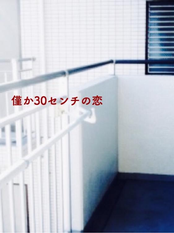 僅か30センチの恋