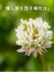 嬉し涙を流す場所は。