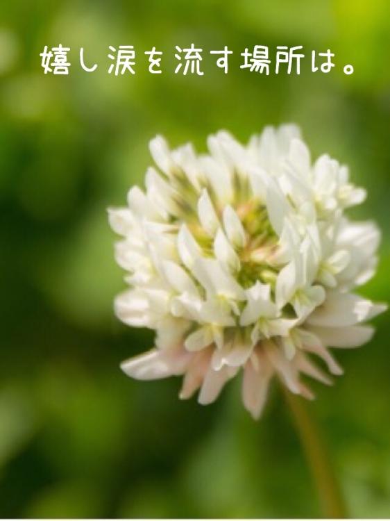 嬉し涙を流す場所は。