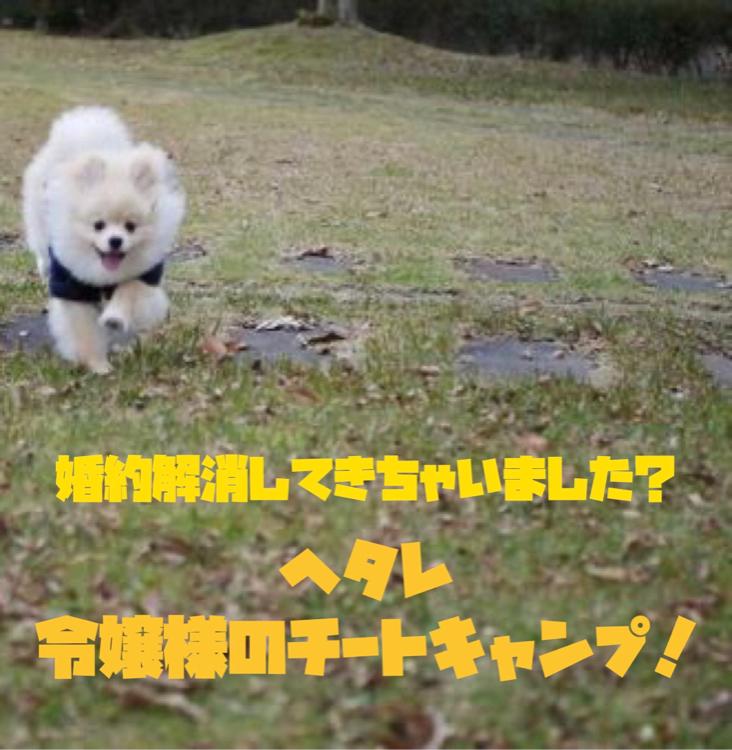 婚約解消してきちゃいました？ヘタレ令嬢様のチートキャンプ！