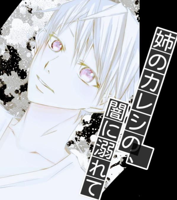 姉のカレシの、闇に溺れて