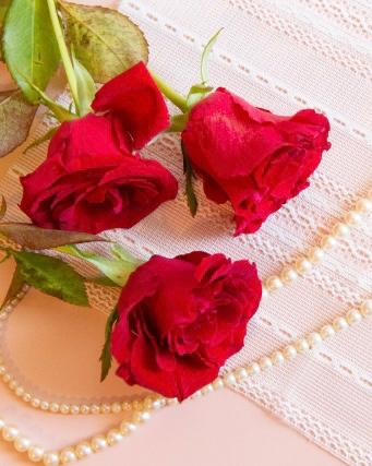 さよならの続き