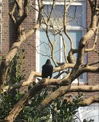 私の最後の夏の思い出