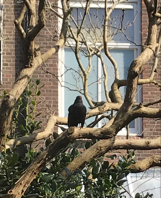 私の最後の夏の思い出