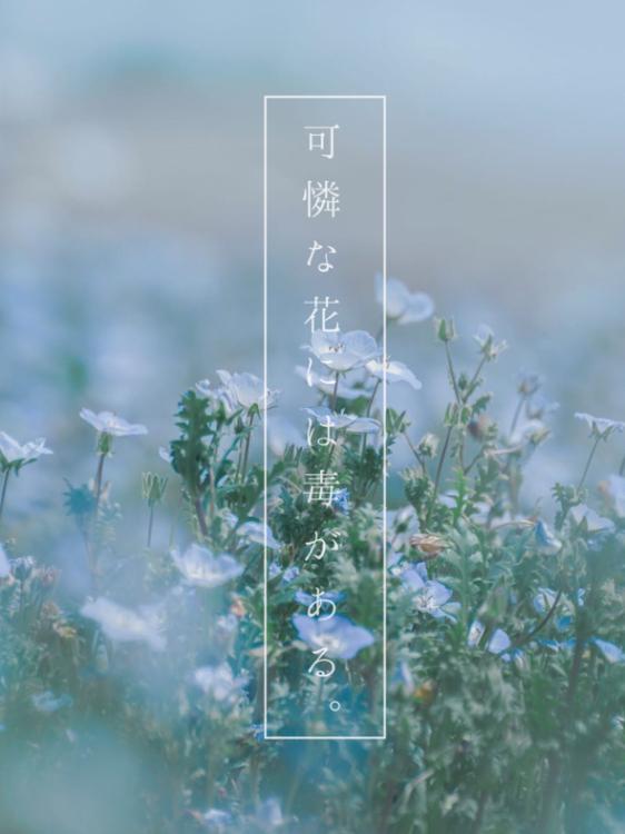 可憐な花には毒がある