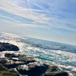 残りわずかなのに