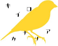 キイロカナリア