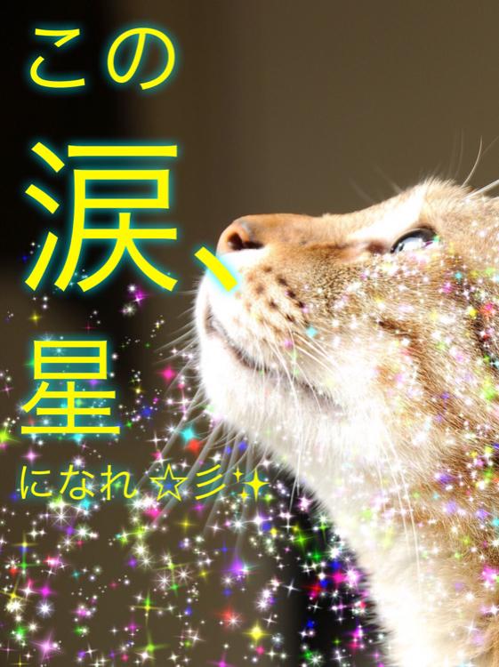 この涙、星になれ ☆彡✨【改稿版】