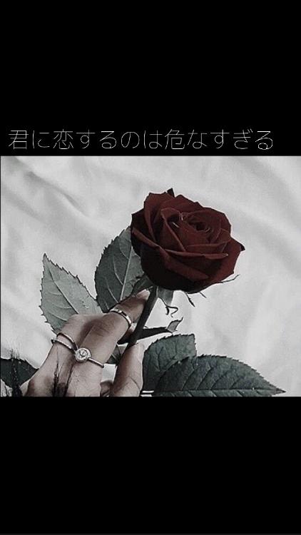 君に恋するのは危なすぎる