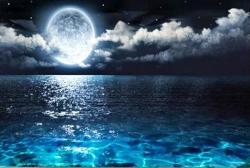 お転婆姫は命がけ。兄を訪ねて三千里！