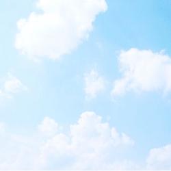 透明色の想いに花をそえて