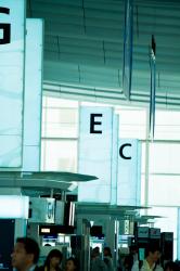 きっとサクラが咲く頃