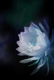 町空くんは無自覚な闇