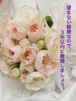 望まない結婚なので、3年以内に離婚しましょう。