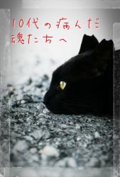 10代の病んだ魂たちへ ～イジメ復讐～