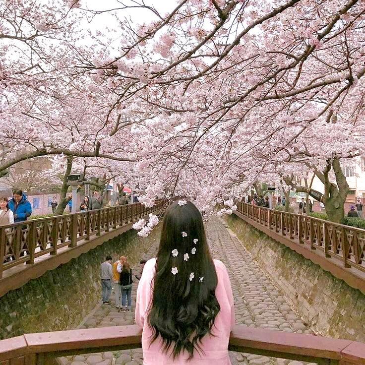 例えば今日、世界から春が消えても。