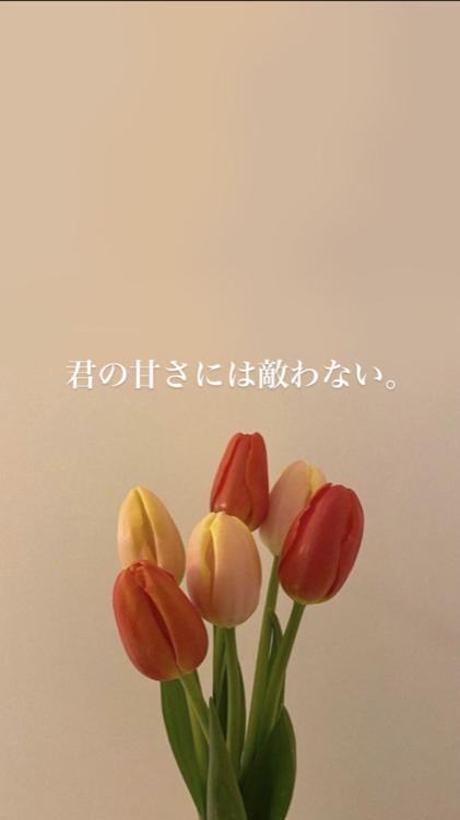 君の甘さには敵わない。