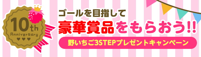 3STEPプレキャン