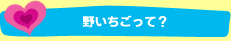 野いちごって？