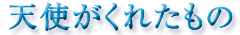 天使がくれたもの