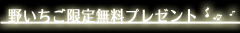 野いちご限定無料プレゼント