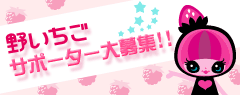 野いちごサポーター大募集!!