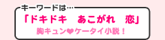 キーワードは「ドキドキ　あこがれ　恋」胸キュンケータイ小説！