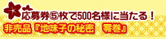 応募券⑤枚で500名様に当たる!非売品『地味子の秘密 零巻』