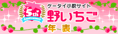 野いちご年表