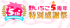 野いちご5周年特別感謝祭 野いちご