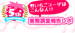 野いちごユーザはこんな人!?実態調査報告レポ