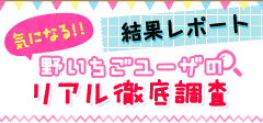 気になる！野いちごユーザのリアル徹底調査結果レポート