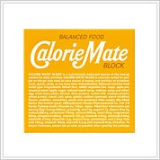 大塚製薬　カロリーメイトブロック プレーン