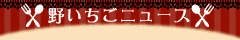 野いちごニュース