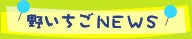 野いちごNEWS
